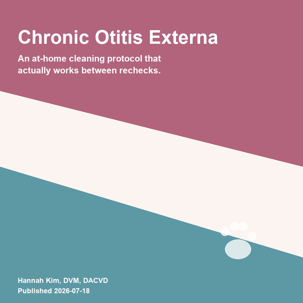 Chronic otitis externa at a glance