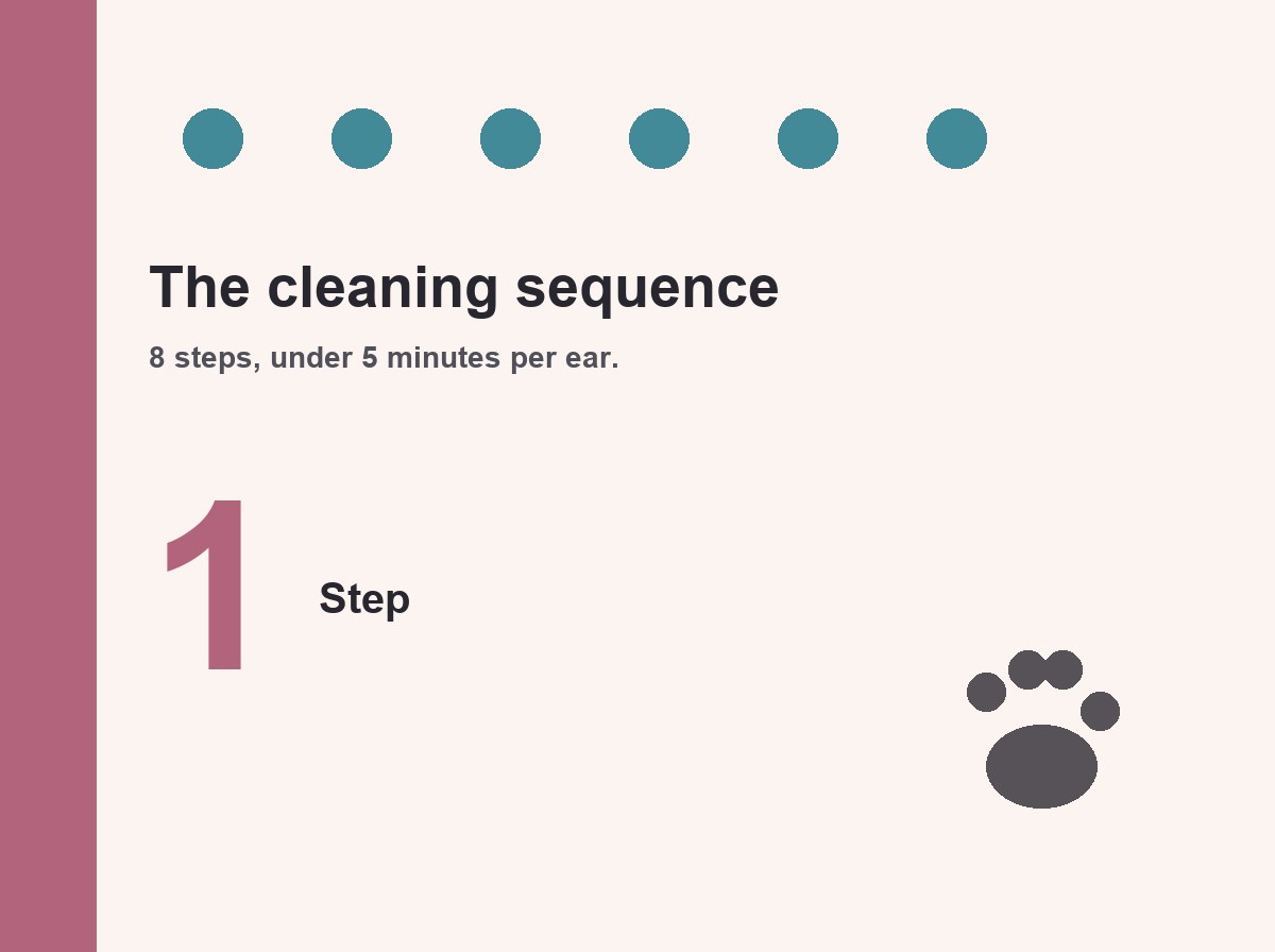 Step-by-step cleaning sequence