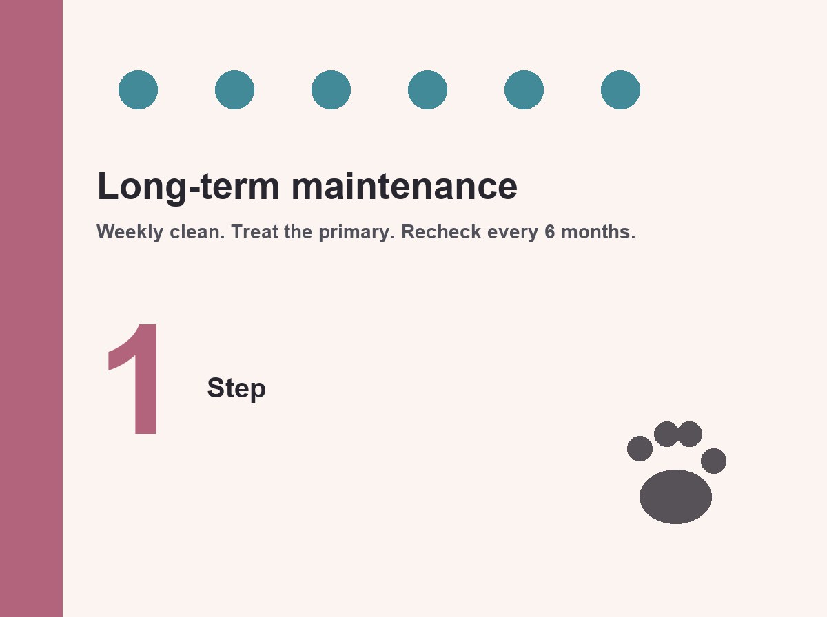 Long-term maintenance schedule