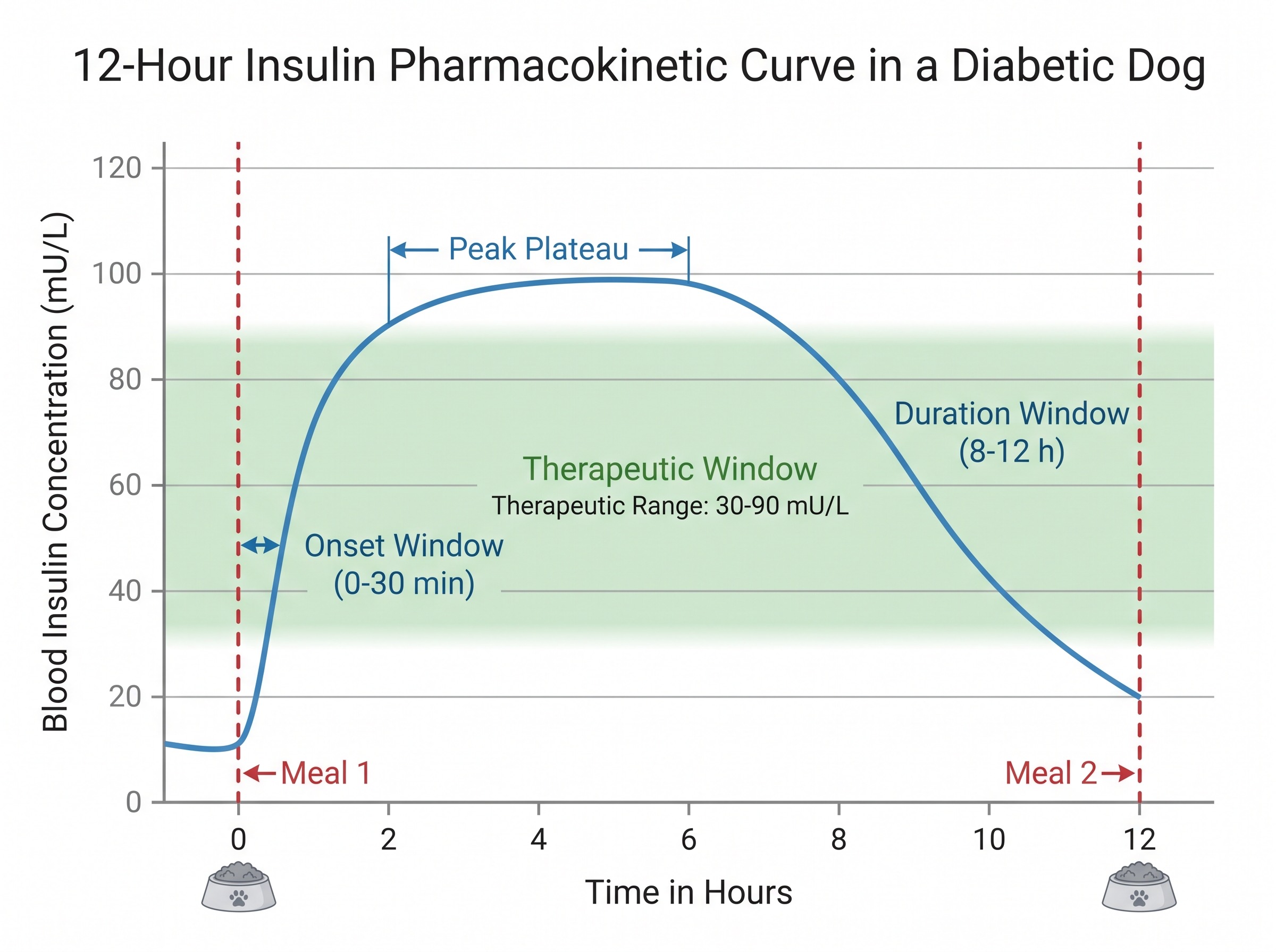 Section image 1 — diagram of a 12-hour insulin curve with onset, peak, and duration windows and two marker meal-times overlaid